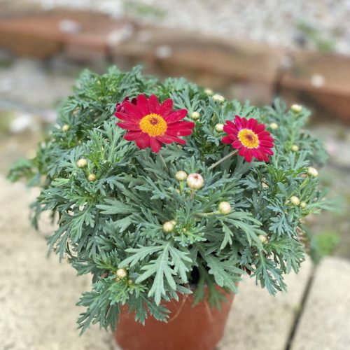 030E9157-7F01-4D04-A5B5-A08534006065