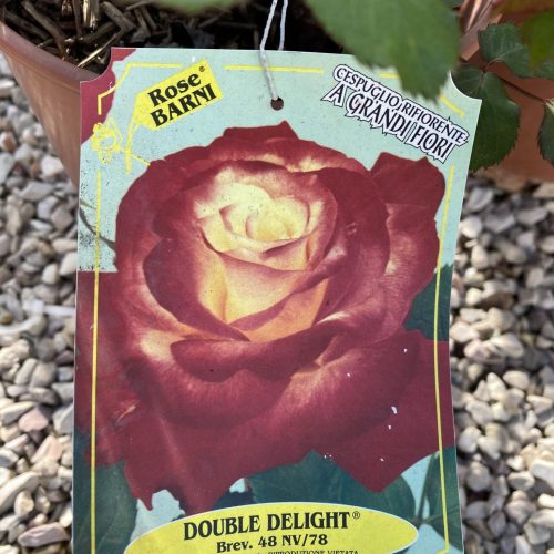 1440CF5D-8BDD-4A8C-A8A8-63349485F28B