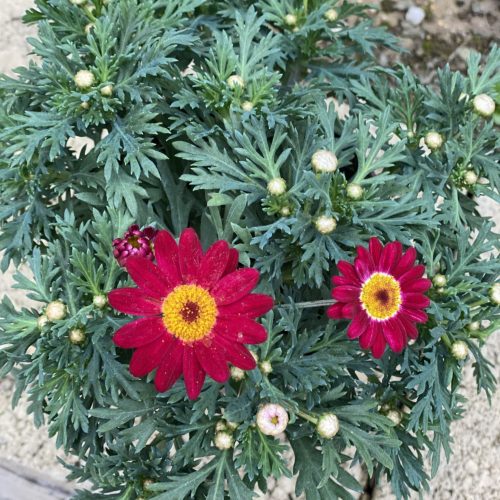 2478A36A-5810-41B6-AD70-89D11FE498DF