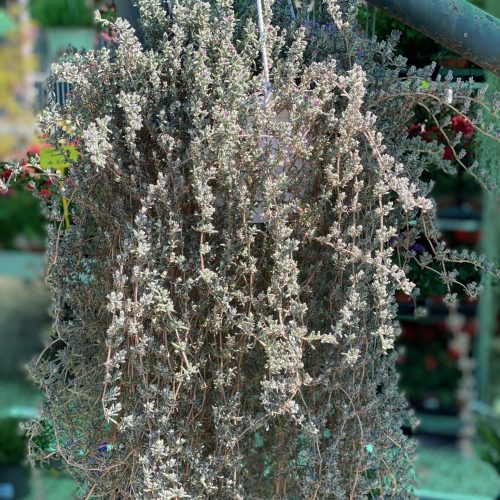 68554049-A292-4A17-9B71-30235C1D5C2D