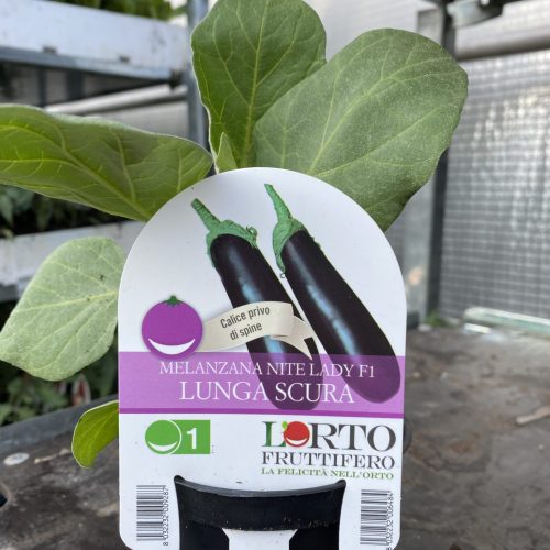 B27941FC-8AD2-4951-890F-83656835E2FC