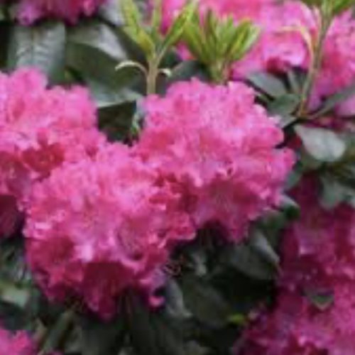 E72F885E-F96B-495D-815D-A46F63A5E706