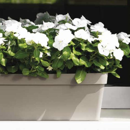 F55C6B9E-21F4-4420-84F6-F94604C977B8