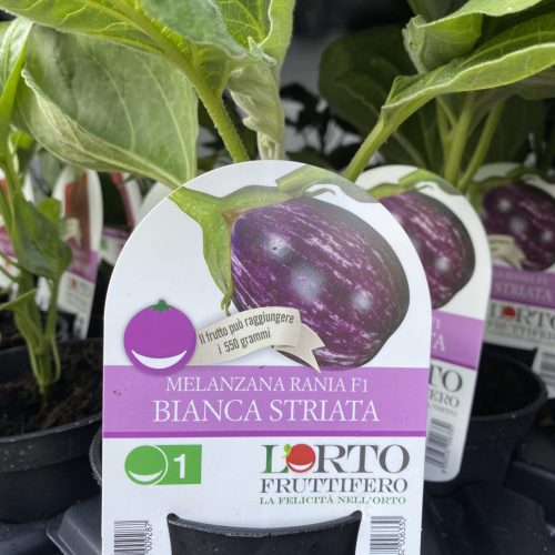 7F3A068A-2413-40CF-8EF3-ADA6B153FC2B