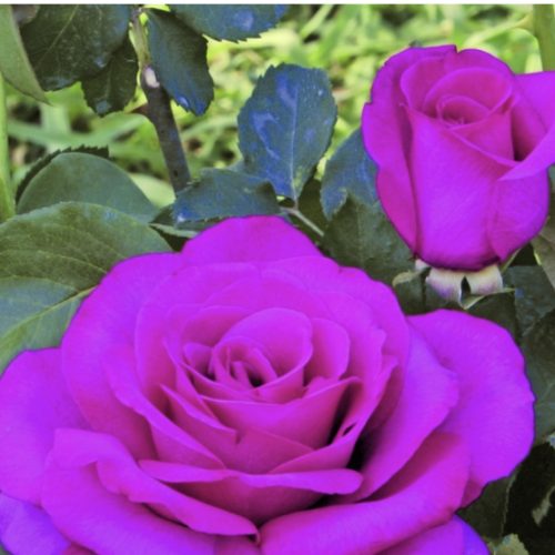 CF2B0BD7-DCC5-42A5-B402-7FBDFDBD50F8