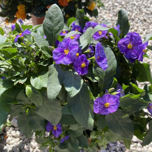 E63378D2-253B-406E-AECA-E2D6388078A4