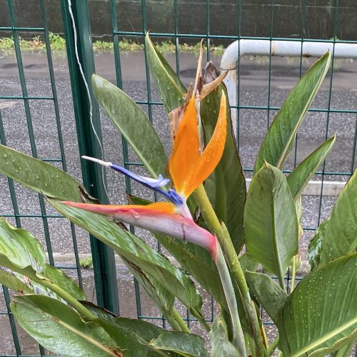 7B0526E1-F129-4245-BC3D-A073B142BE14