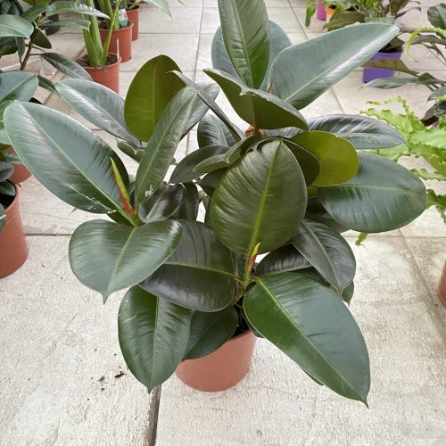 18744E26-092B-4FEC-B003-B57CA21DFD40