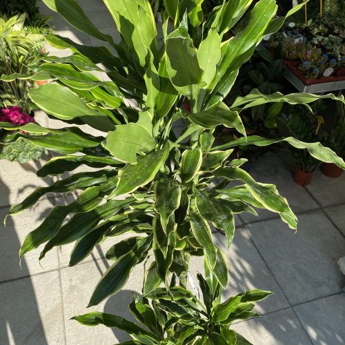 94611D21-D294-4F0B-AB9F-063077657402