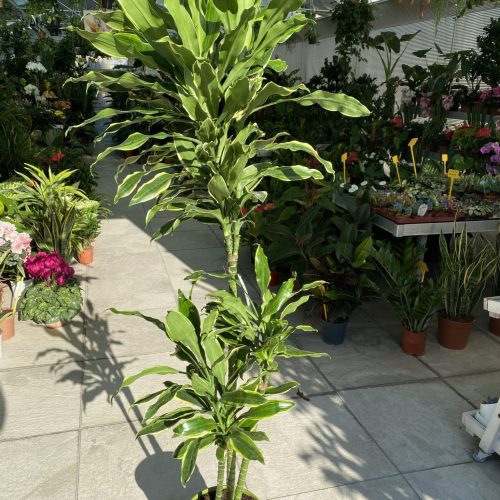 F2E8401B-F8D2-4A5A-B77F-710D69347834