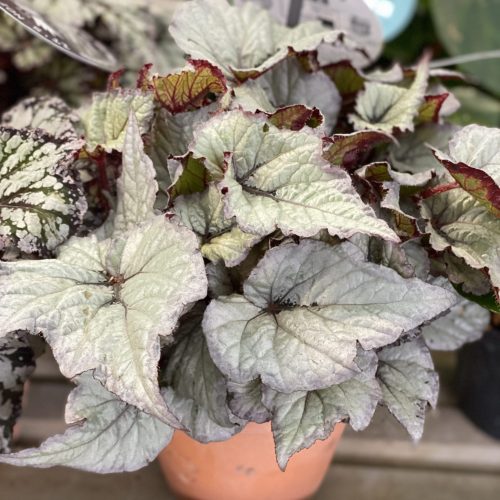 6868FD3C-9607-42E6-A961-96A0BEDF342A