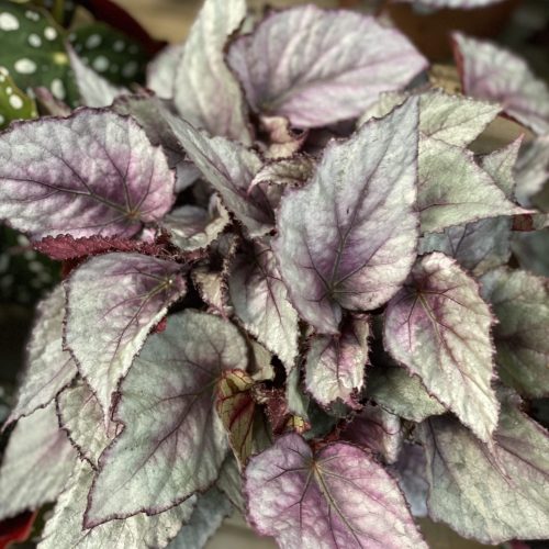 D332164E-A0B7-418F-B593-0AFA3A6FE213