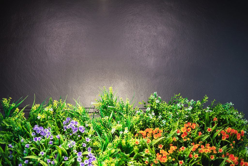 colourful decorated flower garden with grey copy space on top and warm shiny spot light - flower garden background picture