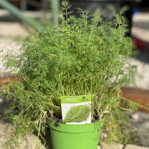 04143E9C-2E62-400C-B4E7-31E38CD515CE