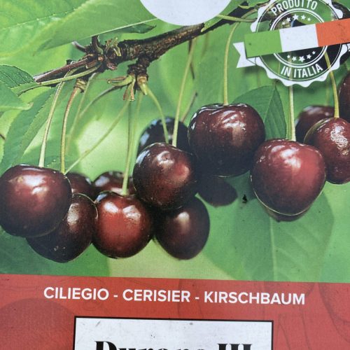 07D4472C-D5CE-40D0-8855-BBE6B1D97421