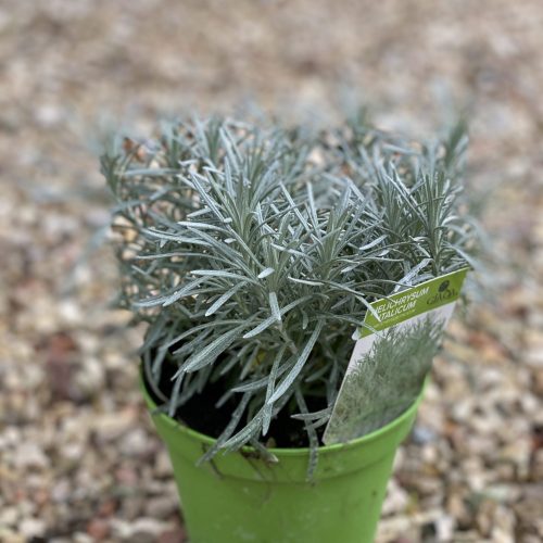 0B1D264B-3218-4436-B758-FAD80E562A86