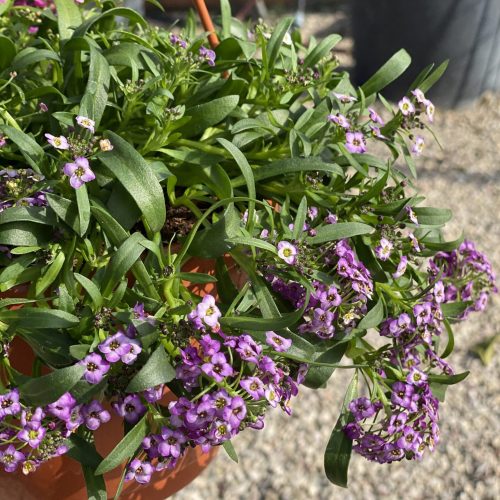 0E943BD4-B76B-49C7-BD5A-F12ADD0817EB