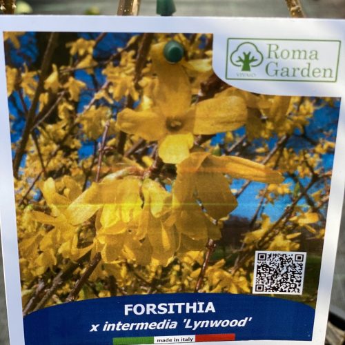 49455EA2-0B7B-4780-AEF0-37BFC491D34C