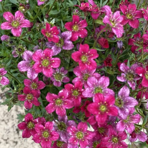 76E7CD19-E3FD-4343-878B-936F8E57EF53