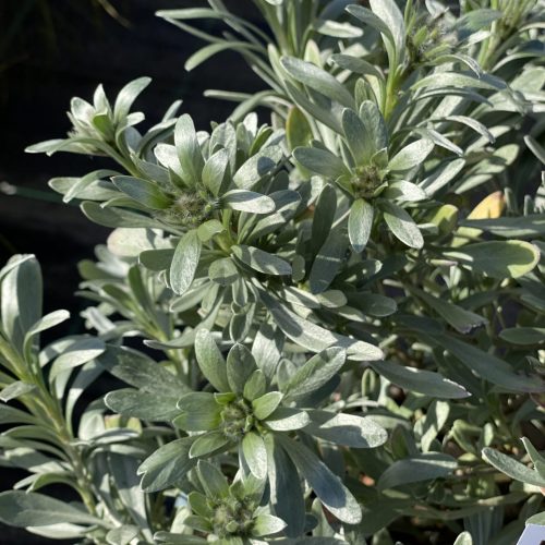 9844A2AB-A3F2-4731-B6EC-77948F4DF694