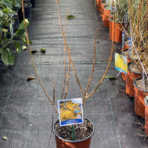 ADC4ED6F-5B43-4F2D-BF84-58E19156E655