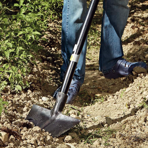 Schermata 2021-02-19 alle 17.56.28