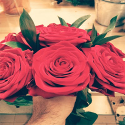 rose_rosse_red_naomi