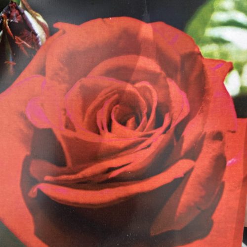 23702B2C-642B-40DA-ACFC-25BDAAC08C47