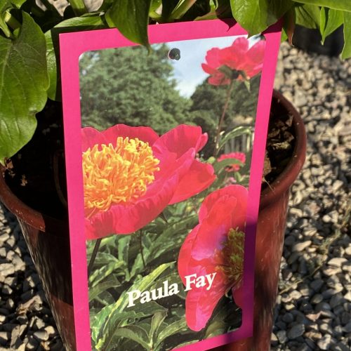 3B44C9FC-937A-4B20-B914-B1B405B864B1