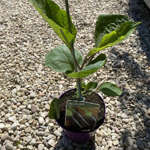 4A7D0D4C-BA8D-4BF0-911D-CBF3E3D5B44C