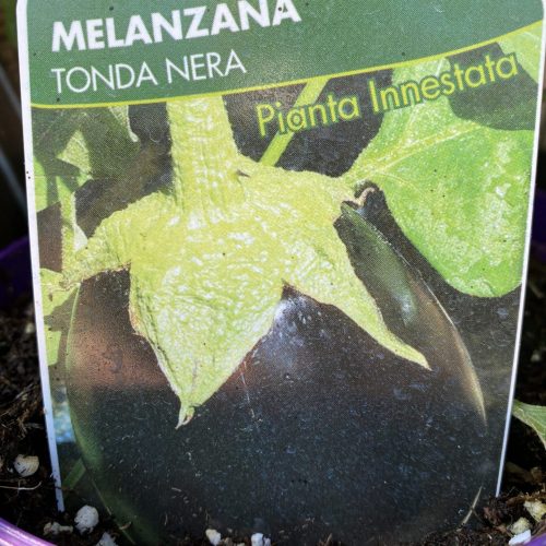 7B56DD30-9C3A-42E0-8526-6E99CE396C18