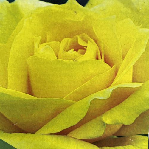 969457B8-2C87-43D6-B85F-FBC9C27C8938