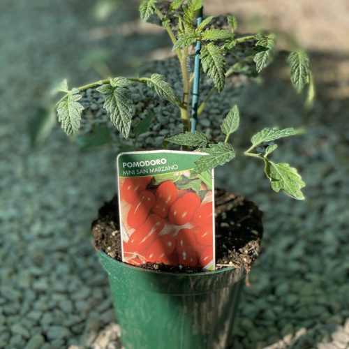 9AA5256B-0423-406E-94EF-A244CDA24776