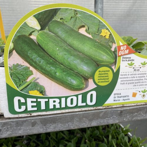 D6F99478-29C5-4F2E-85CD-B48C4434F12F