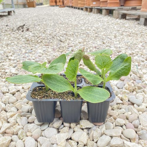 F155ADC5-9821-4564-AE4F-625D70A119C4