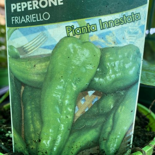 F1C31E8E-4B19-4460-9807-E1CF3FE55409