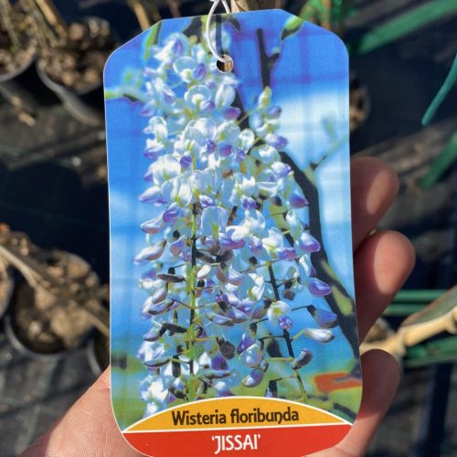 FE648AB7-9419-4A55-AA97-552CD7E5EB63