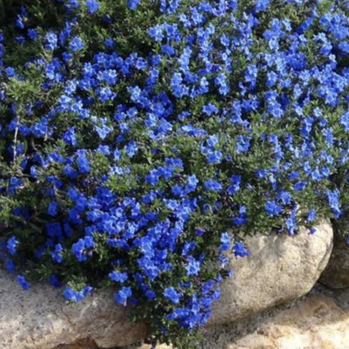 Schermata 2021-03-10 alle 16.46.51