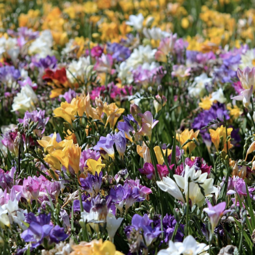 Schermata 2022-02-24 alle 11.49.45