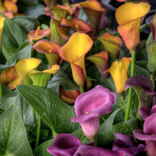 Schermata 2022-02-24 alle 12.09.56