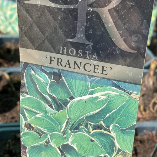 0FC7F3A3-875C-4684-AD8C-449C54766A6C