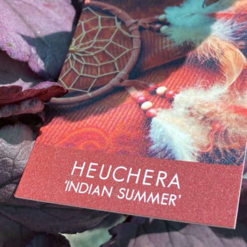 4F76B2CD-2F73-4067-AC87-BF6A6327643D