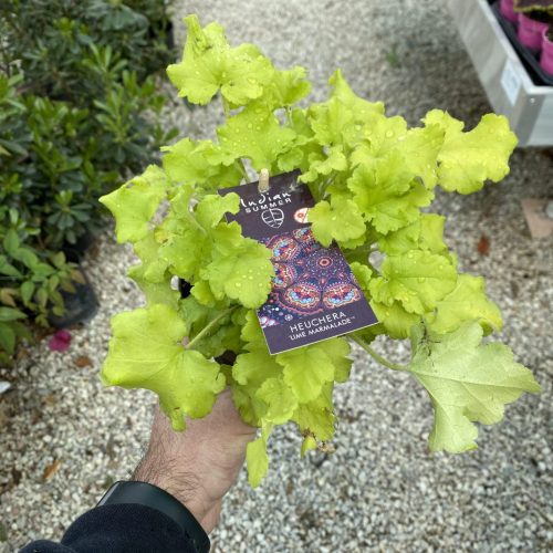 715C07A6-836A-4E96-8AAC-ADDF074618BA