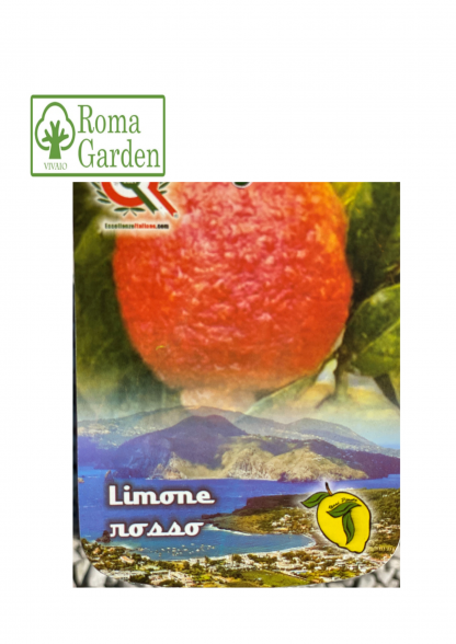 Agrumi Limone
