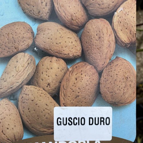 7BA4BD55-E486-499E-BC20-8B17B1D91CD4