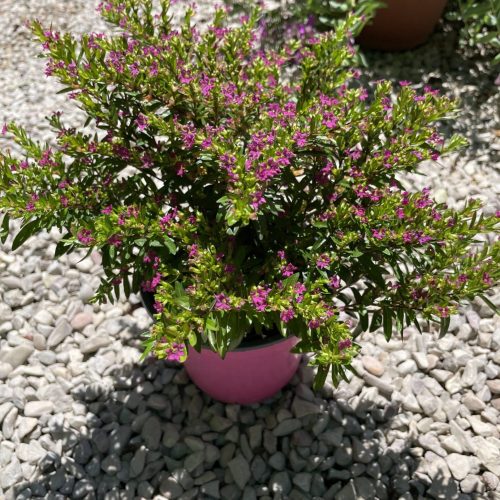 a68d6387-d77d-4093-8fde-9c1c36437e98-10828-0000020106c77c92_file