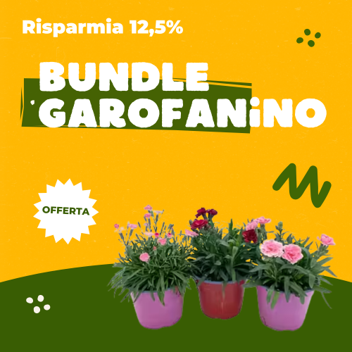 piante in offerta