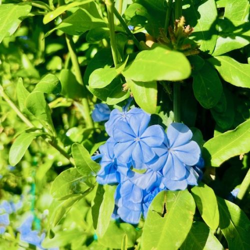 e848f45f-1d1b-4fd5-88db-3631ddd0a65c