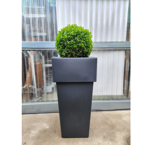 vaso alto con piante