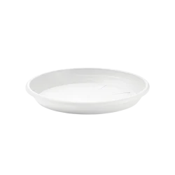 SV019-BCO-1024×1024